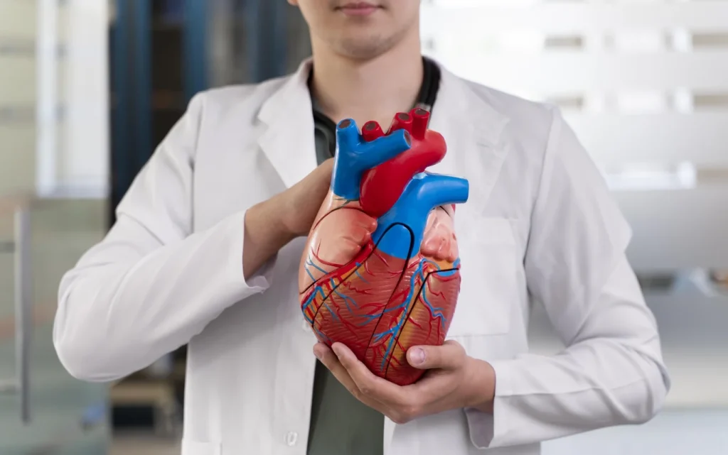 Heart Disease | Cardiology Specialists Melbourne