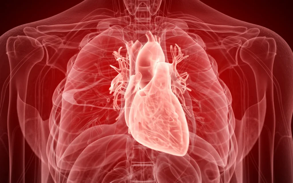 Heart Disease | Cardiology Specialists Melbourne