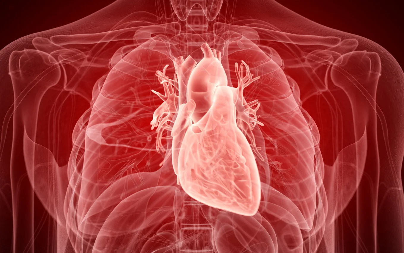 Heart Disease | Cardiology Specialists Melbourne
